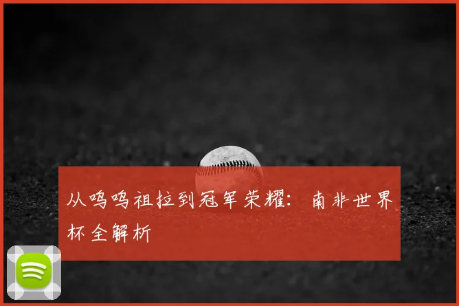 从呜呜祖拉到冠军荣耀：南非世界杯全解析