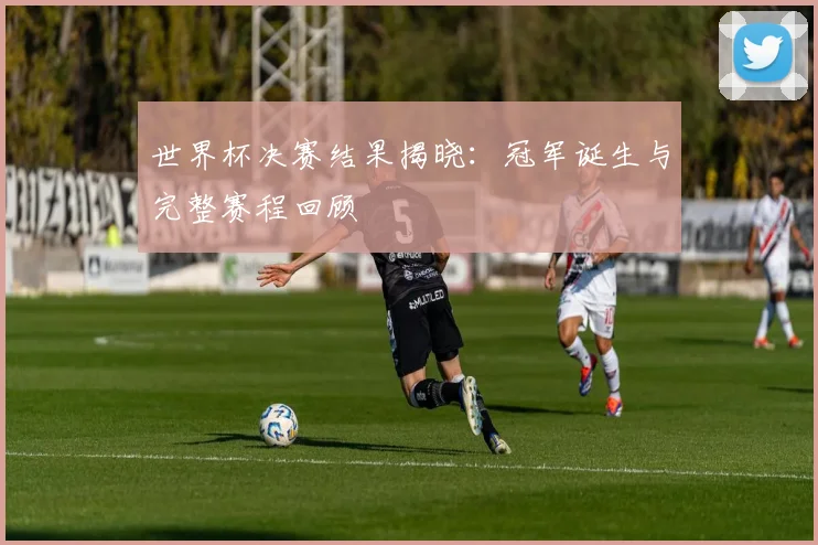 世界杯决赛结果揭晓：冠军诞生与完整赛程回顾
