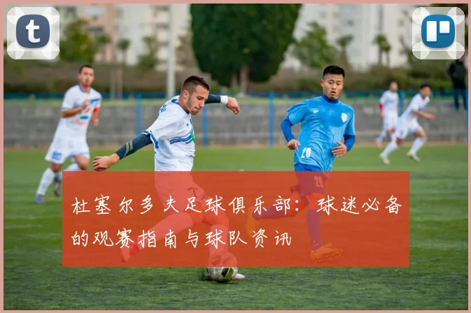 杜塞尔多夫足球俱乐部：球迷必备的观赛指南与球队资讯